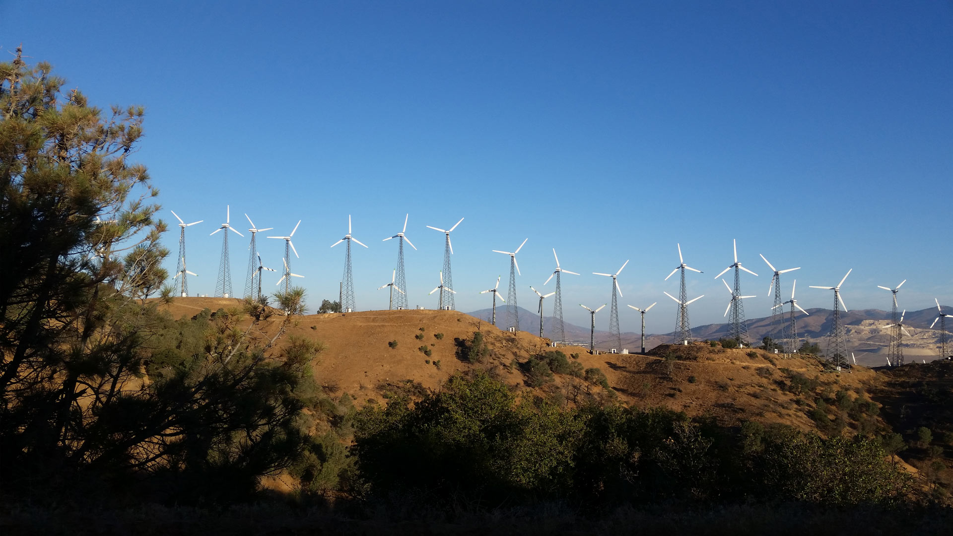 Harnessing the Dynamics of Energy Transition 