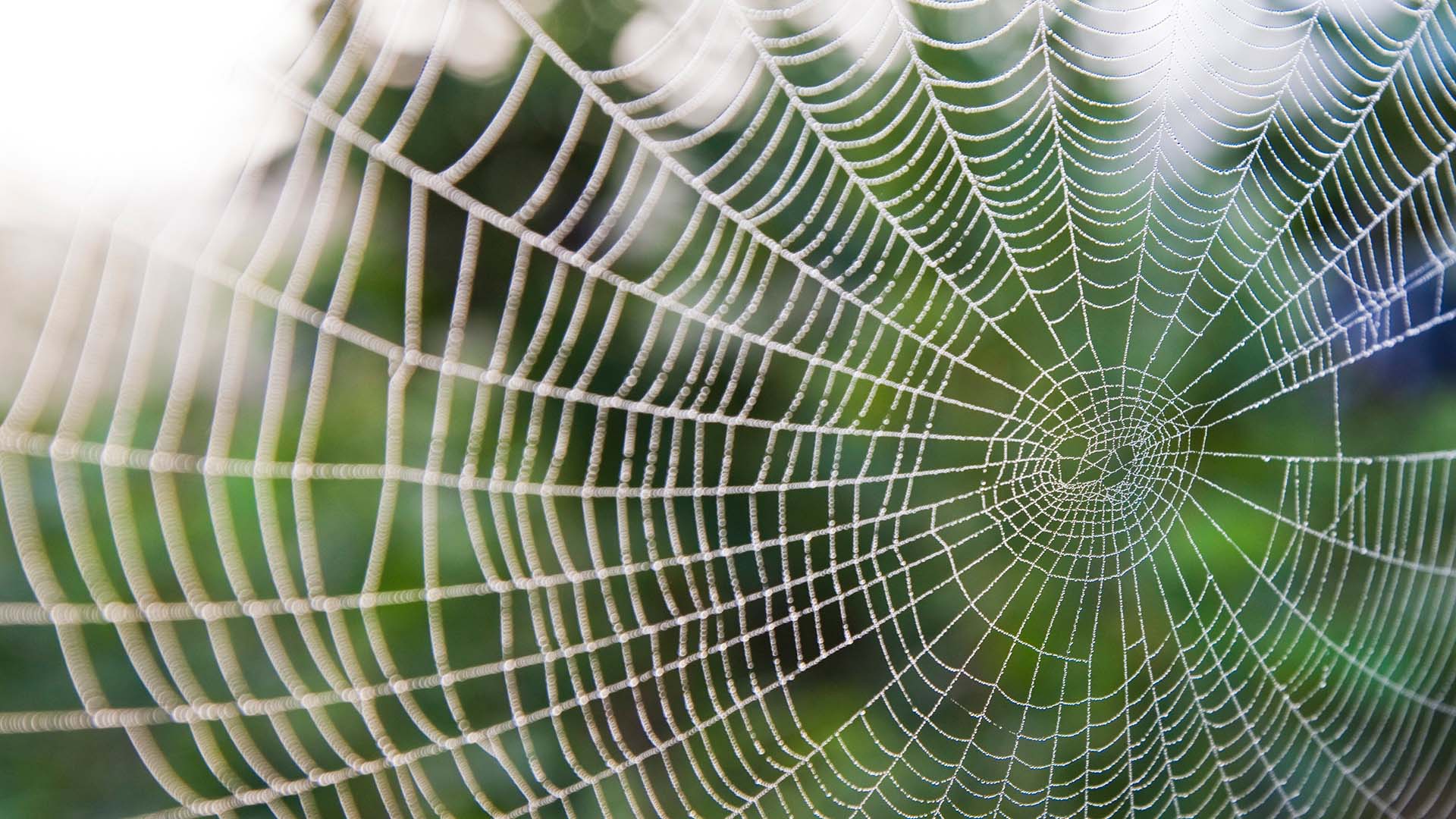Framework, Schmamework: ESG that focuses on improvement over exclusion