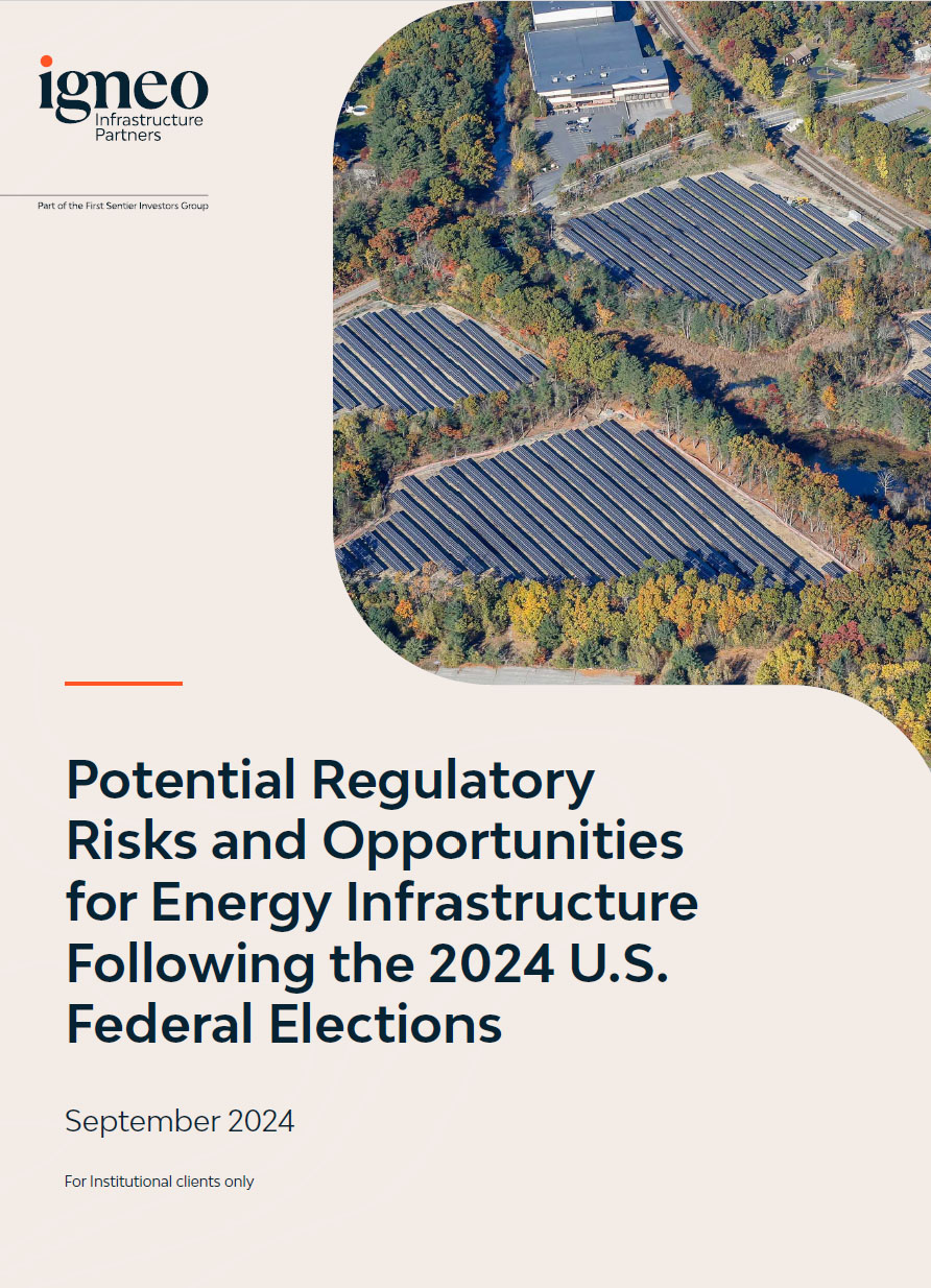 Igneo White Paper on US election